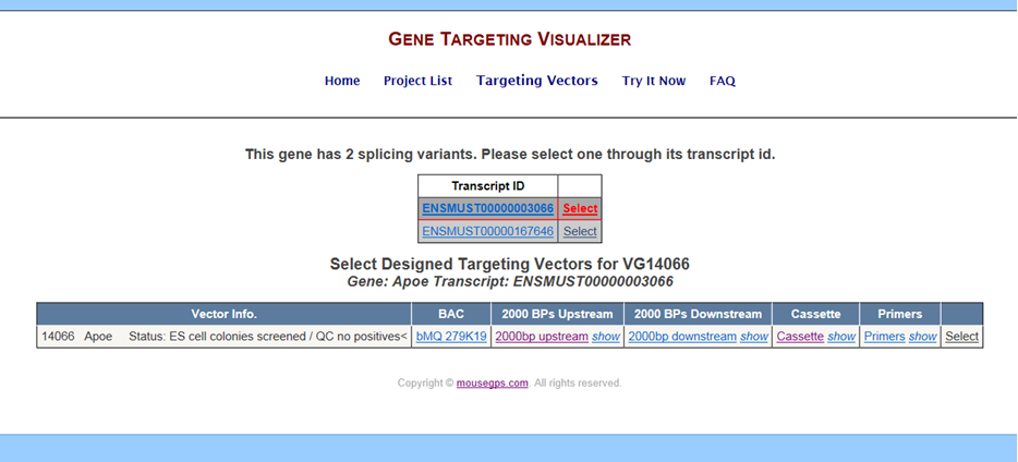 GeneTV targeting vector of Velocigene project